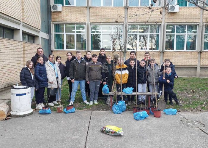 торак торак